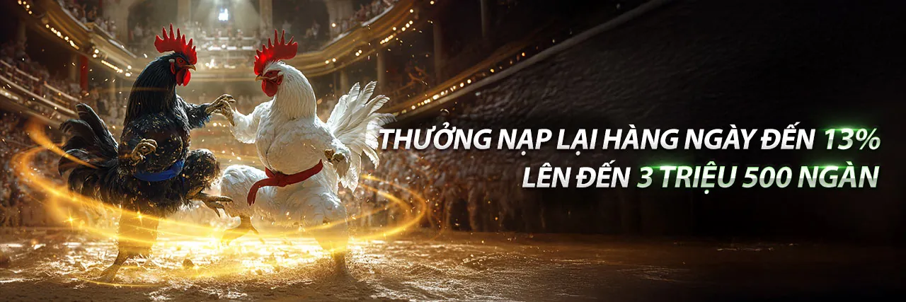 Đá gà trực tuyến đỉnh cao tại VL88 Chính Thức